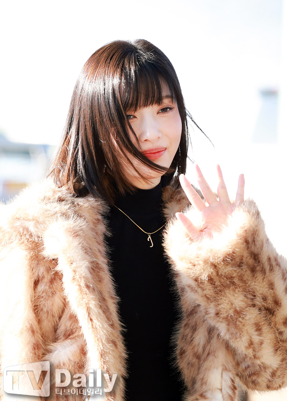 ƼºêÀ̵¥Àϸ® Æ÷Åä