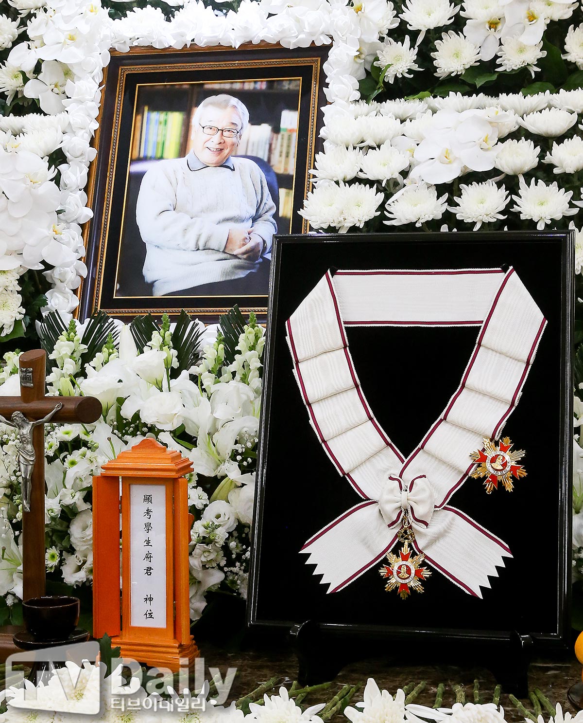 ƼºêÀ̵¥Àϸ® Æ÷Åä