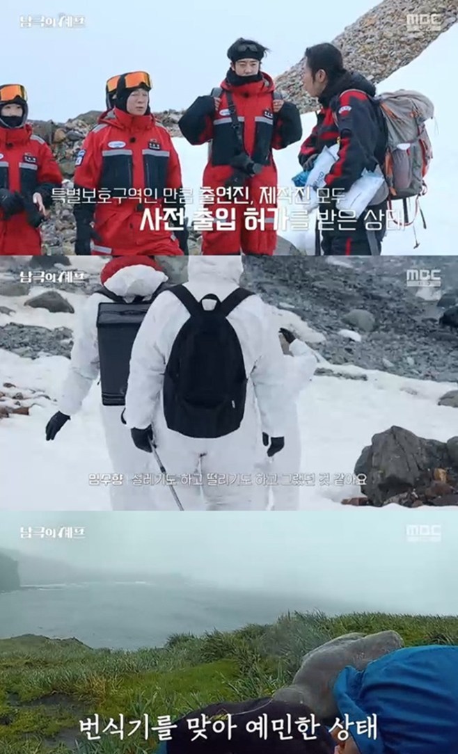 ƼºêÀ̵¥Àϸ® Æ÷Åä