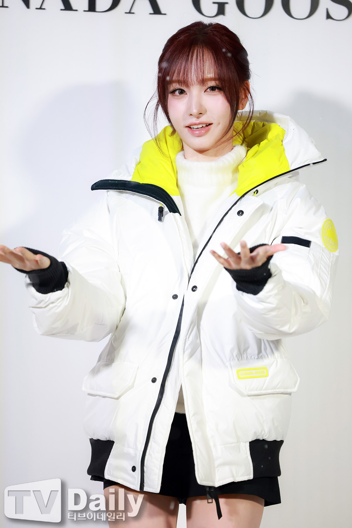 ƼºêÀ̵¥Àϸ® Æ÷Åä