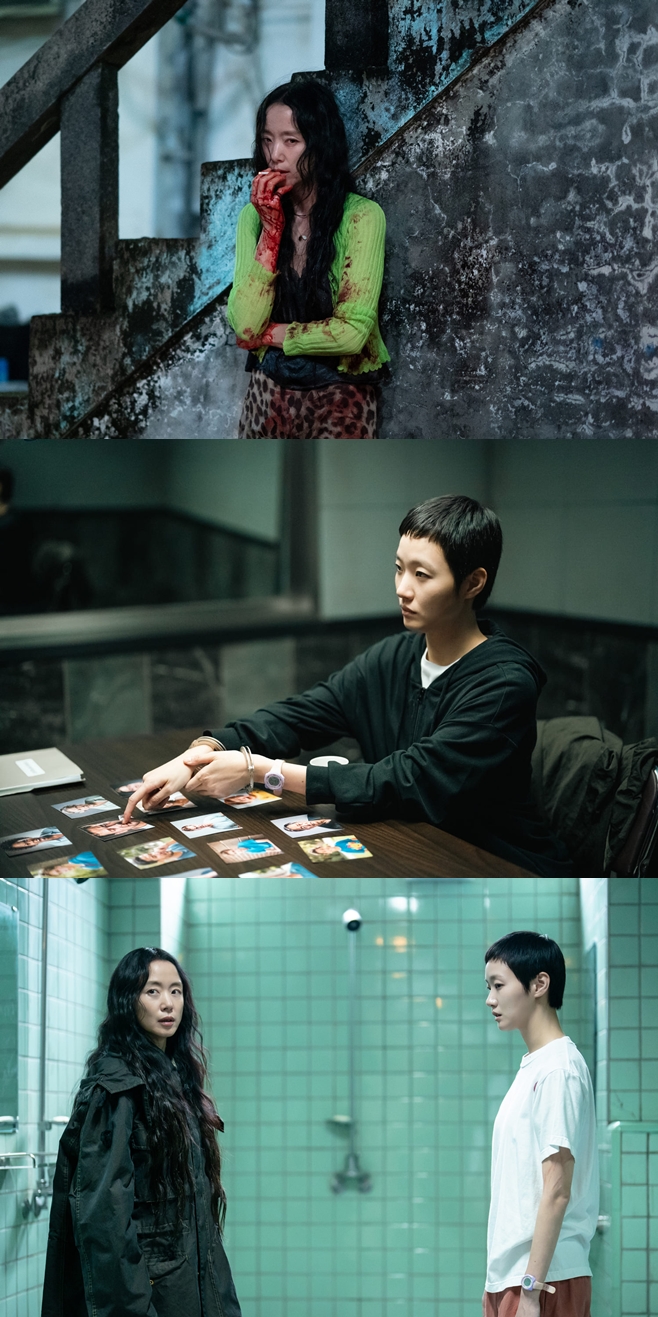 ƼºêÀ̵¥Àϸ® Æ÷Åä