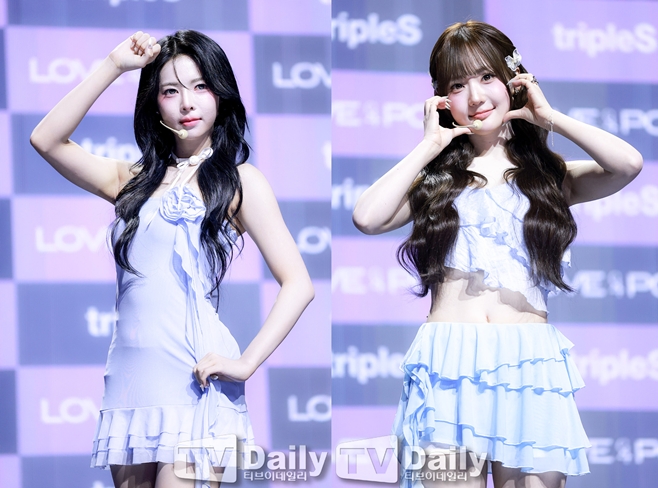 티브이데일리 포토