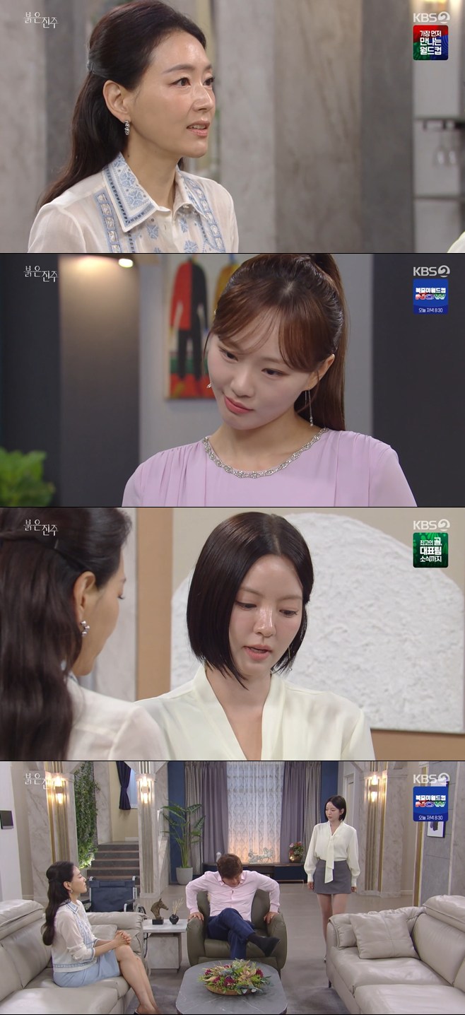 티브이데일리 포토