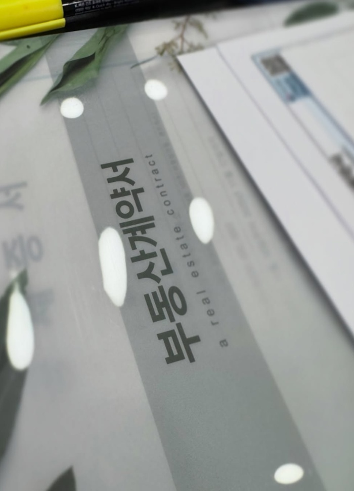 티브이데일리 포토