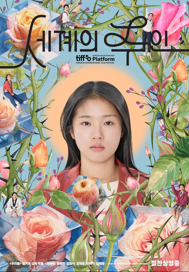 티브이데일리 포토