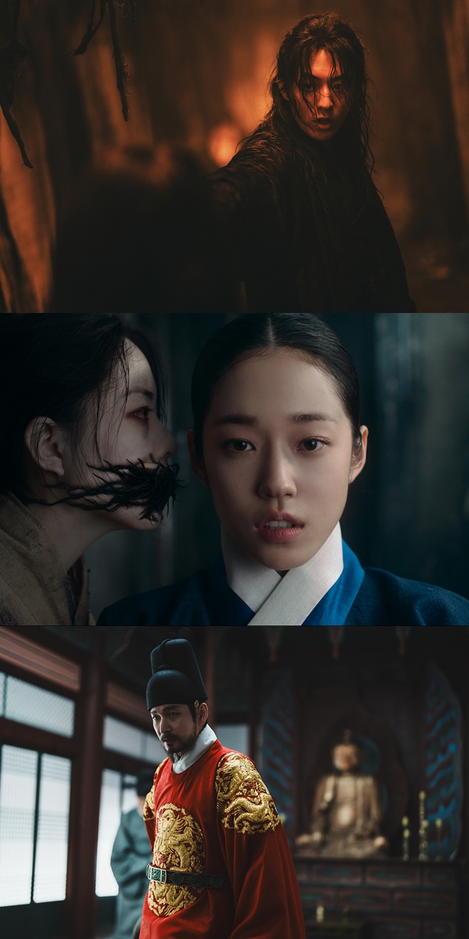 티브이데일리 포토