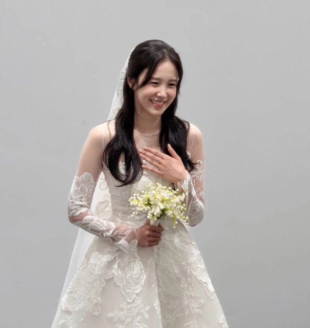 티브이데일리 포토