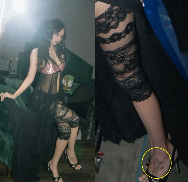 티브이데일리 포토