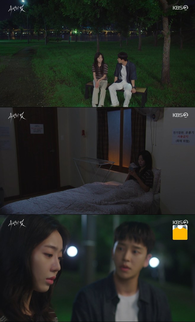 티브이데일리 포토