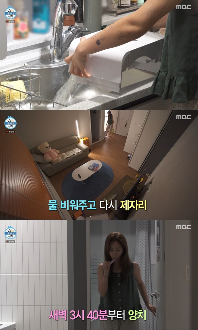티브이데일리 포토
