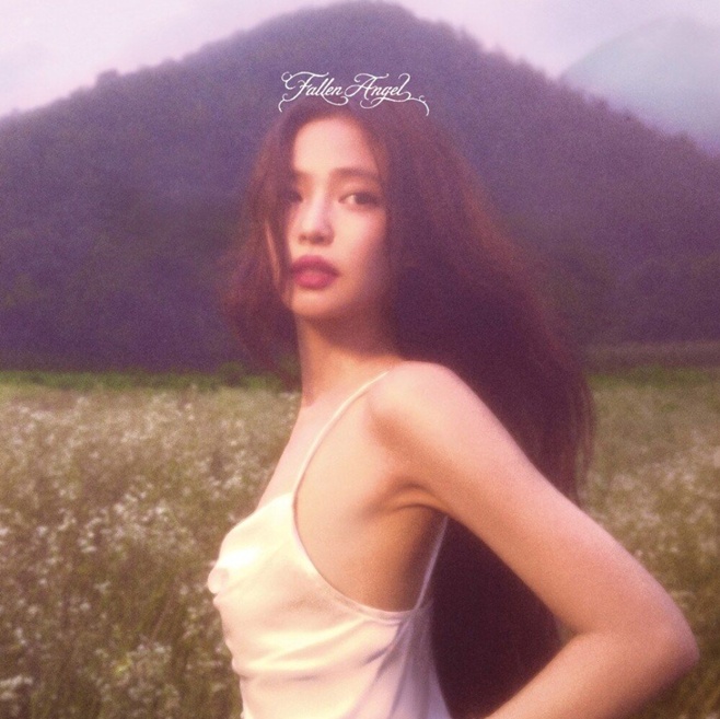 티브이데일리 포토