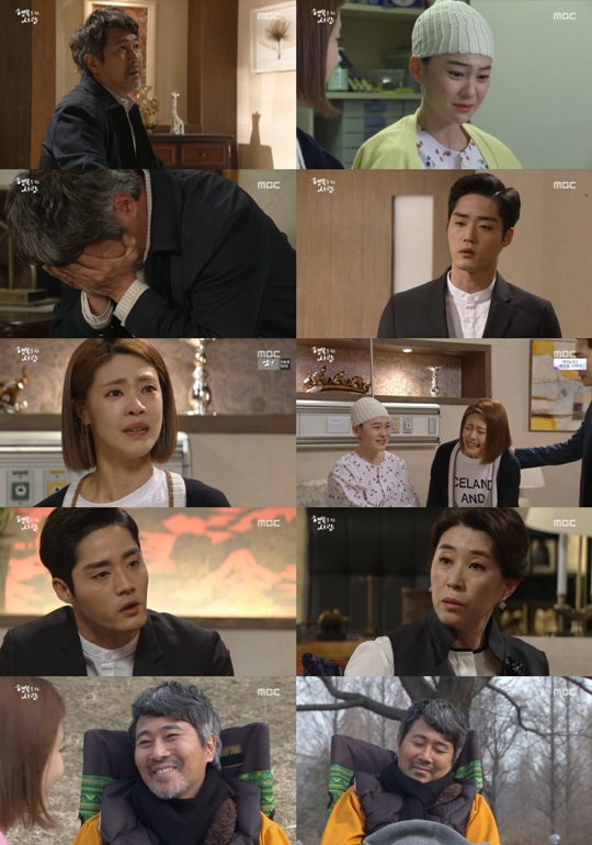 �ູ�� �ִ� ���