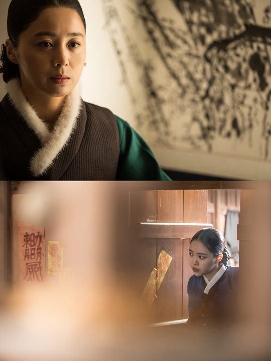 ¿©°î¼º 20°³±¹ ¼±ÆÇ¸Å