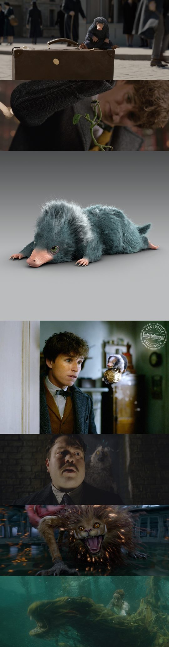 ½ÅºñÇÑ µ¿¹°µé°í ±×¸°µ¨¿ÐµåÀÇ ¹üÁË