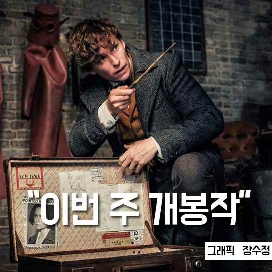 À̹øÁÖ °³ºÀÀÛ