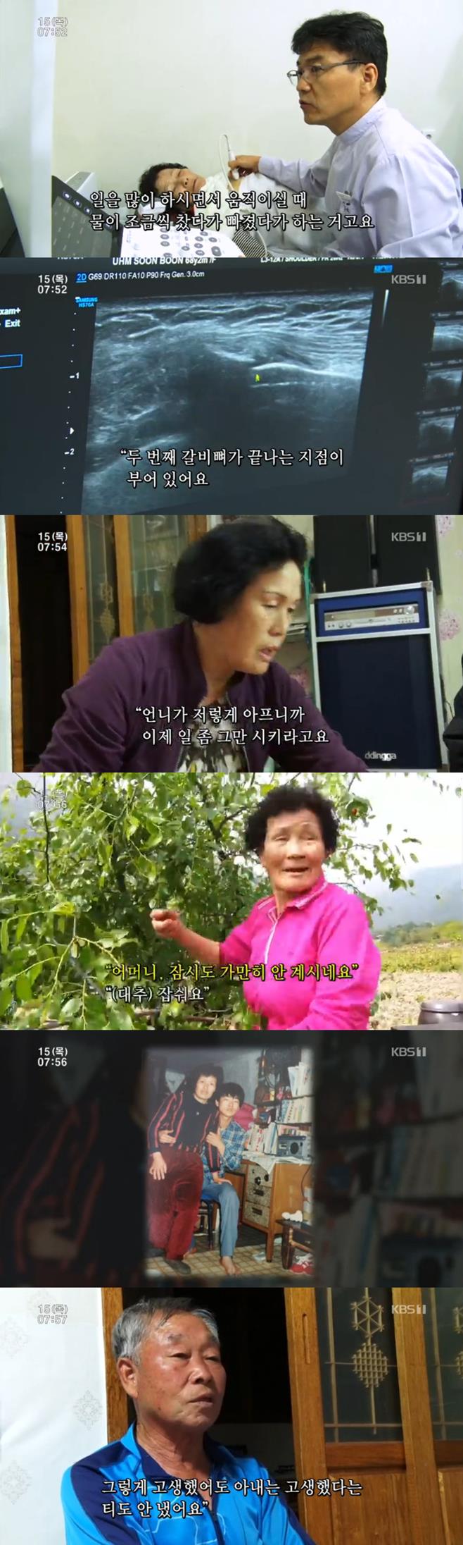 Àΰ£±ØÀå ¾ö¼øºÐÀÇ º½³¯