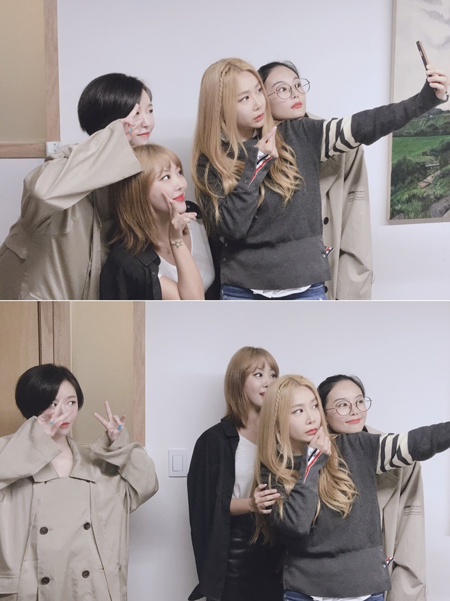 ºê¶ó¿î¾ÆÀ̵å°É½º