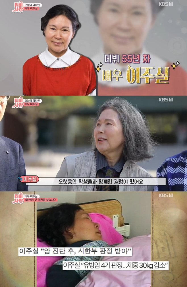 TV´Â »ç¶ûÀ» ½Æ°í