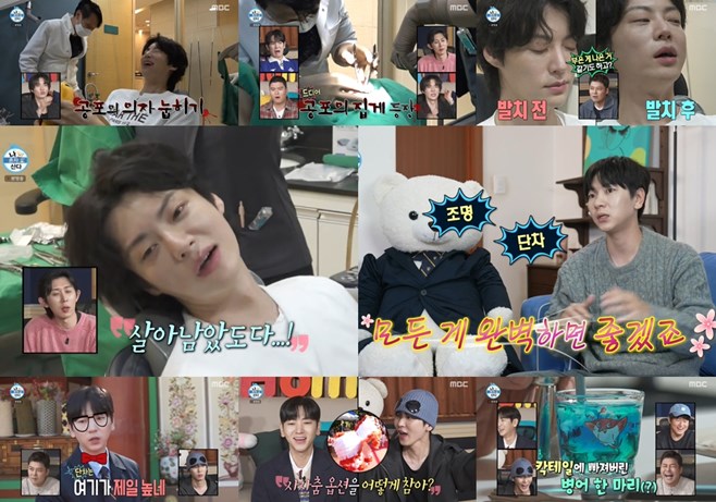 ƼºêÀ̵¥Àϸ® Æ÷Åä