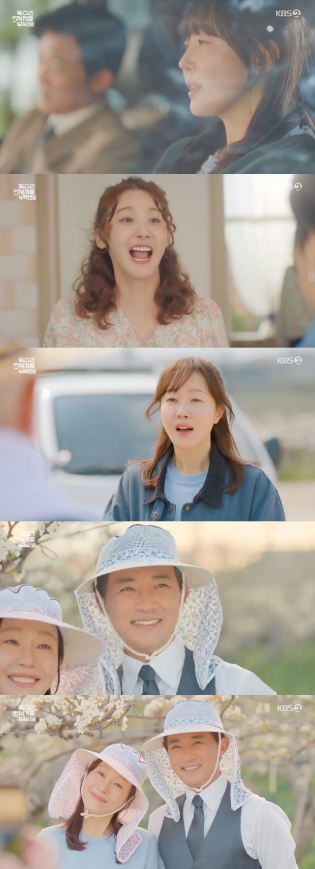 ƼºêÀ̵¥Àϸ® Æ÷Åä