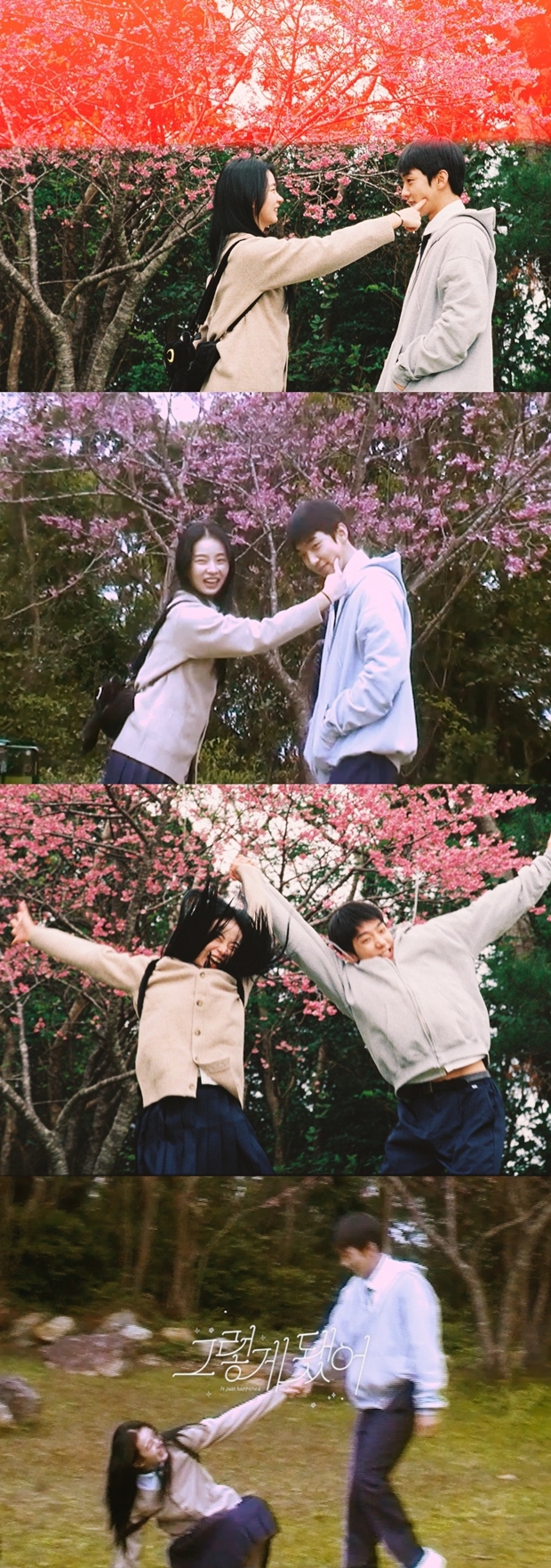 ƼºêÀ̵¥Àϸ® Æ÷Åä