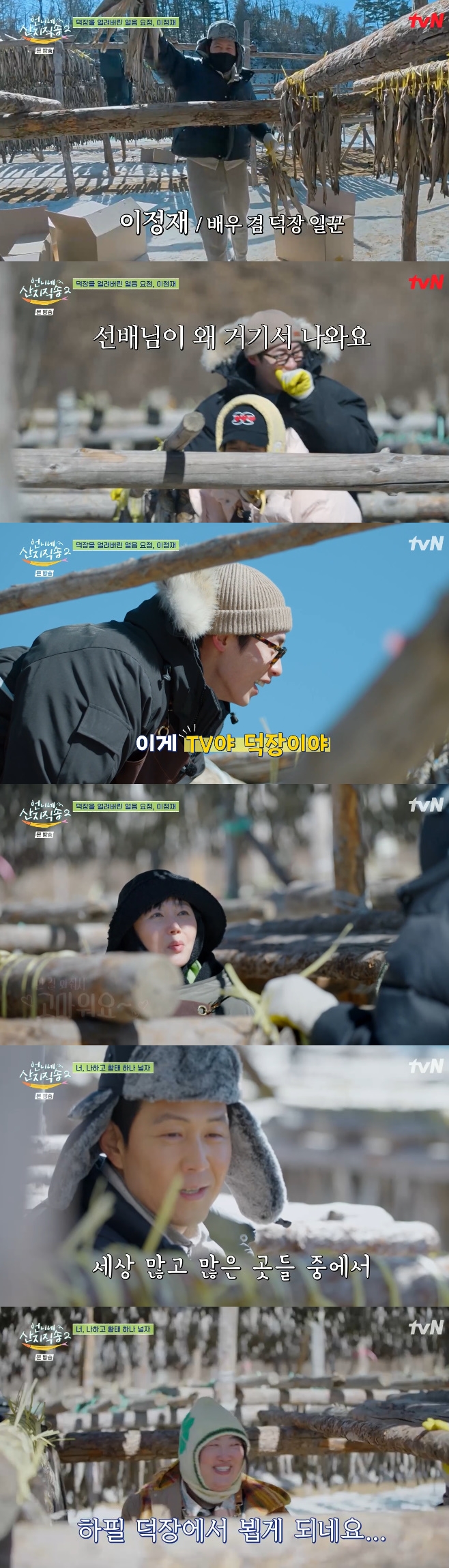 ¾ð´Ï³× »êÁöÁ÷¼Û2