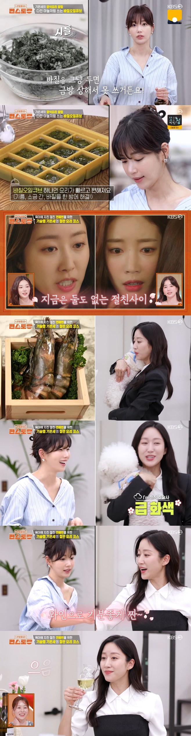 ƼºêÀ̵¥Àϸ® Æ÷Åä