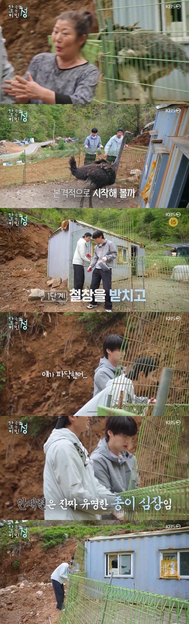 ƼºêÀ̵¥Àϸ® Æ÷Åä