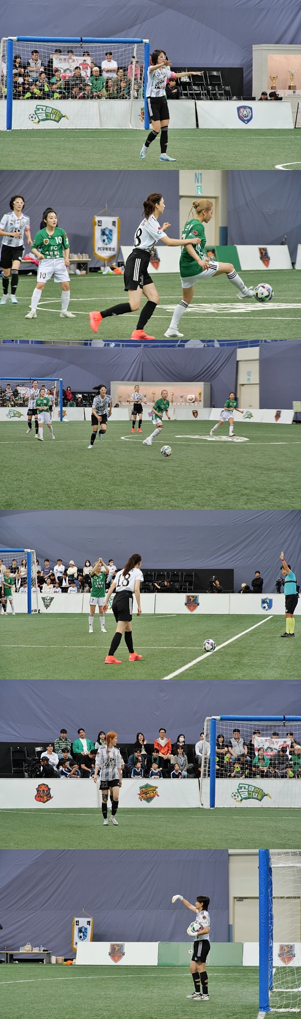 ƼºêÀ̵¥Àϸ® Æ÷Åä