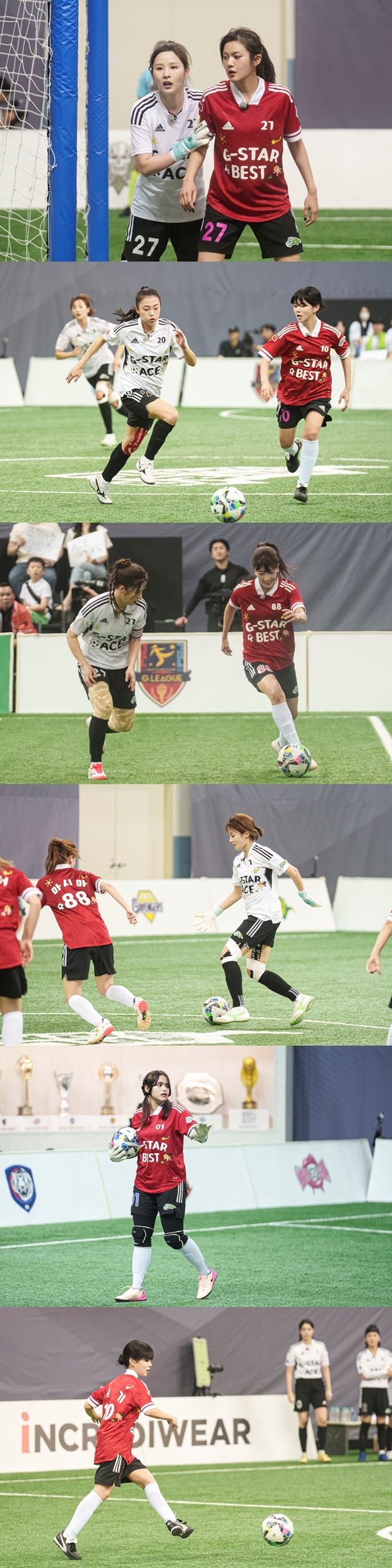 ƼºêÀ̵¥Àϸ® Æ÷Åä