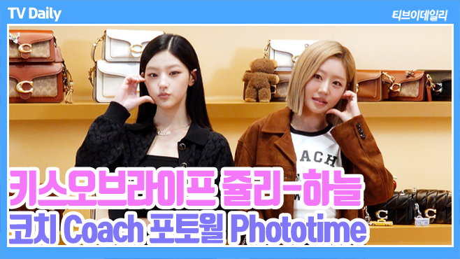 ƼºêÀ̵¥Àϸ® Æ÷Åä