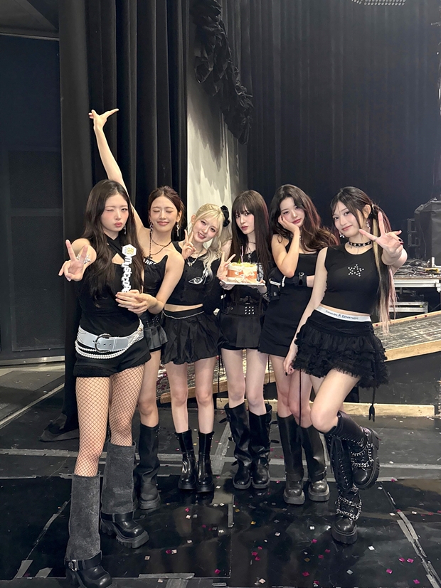 ƼºêÀ̵¥Àϸ® Æ÷Åä