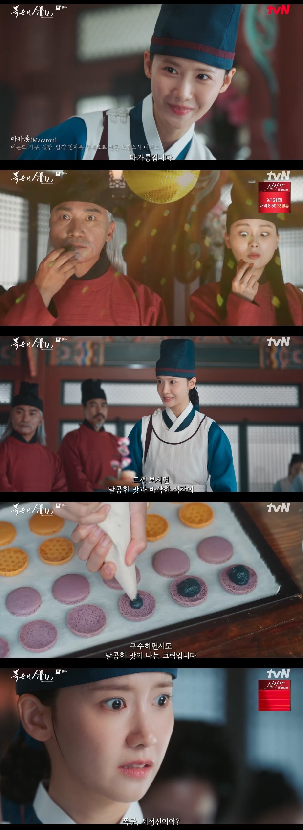 ƼºêÀ̵¥Àϸ® Æ÷Åä