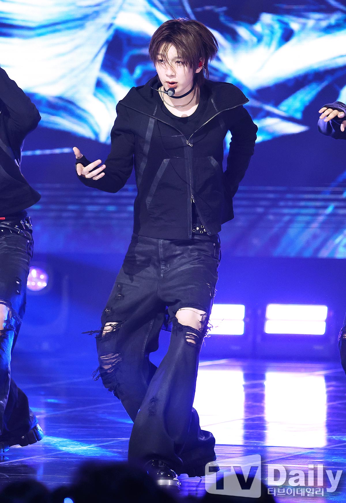 ƼºêÀ̵¥Àϸ® Æ÷Åä