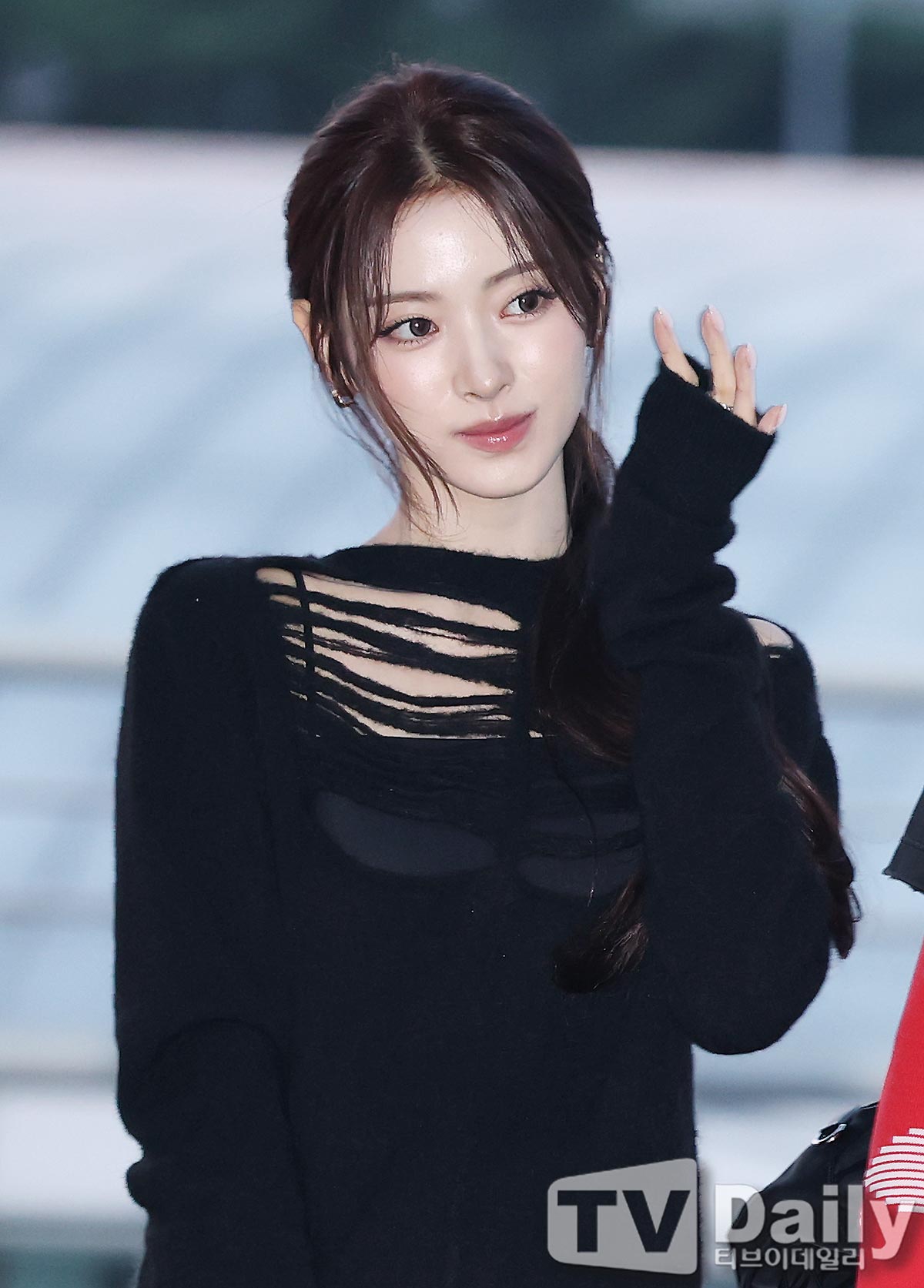 ƼºêÀ̵¥Àϸ® Æ÷Åä