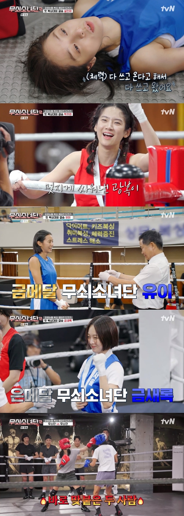 ƼºêÀ̵¥Àϸ® Æ÷Åä