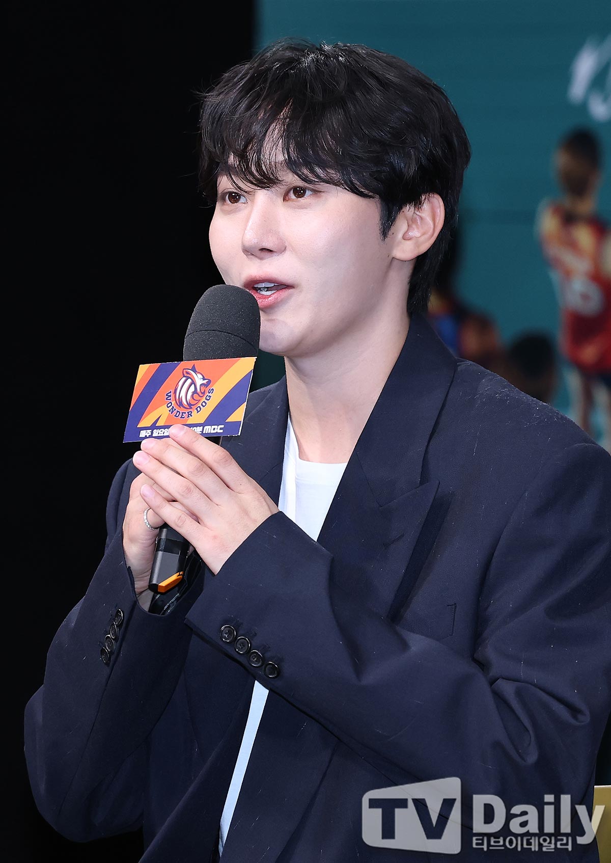 ƼºêÀ̵¥Àϸ® Æ÷Åä