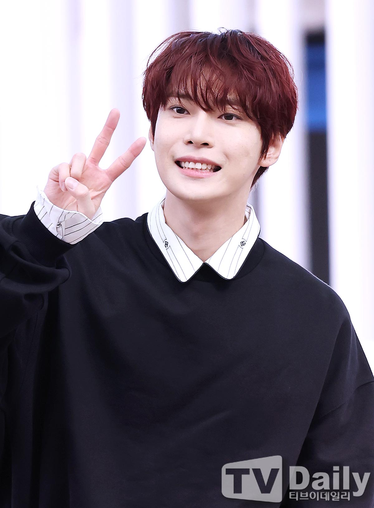 ƼºêÀ̵¥Àϸ® Æ÷Åä