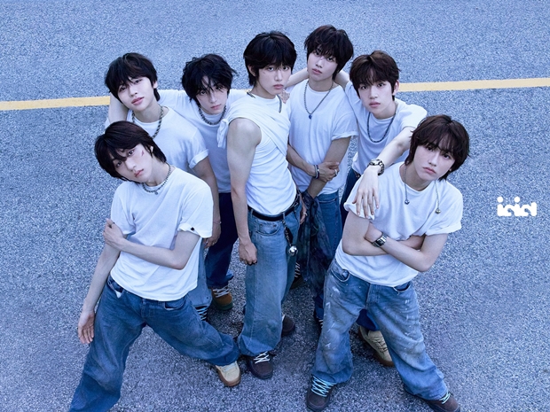 ƼºêÀ̵¥Àϸ® Æ÷Åä