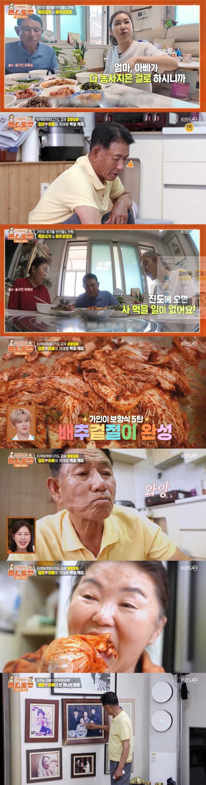 ƼºêÀ̵¥Àϸ® Æ÷Åä