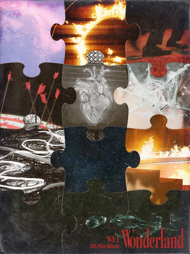 ƼºêÀ̵¥Àϸ® Æ÷Åä