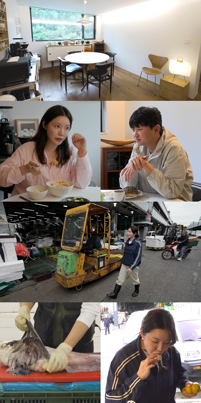 MBC ÀüÁöÀû Âü°ß ½ÃÁ¡, Á¶¼Çü