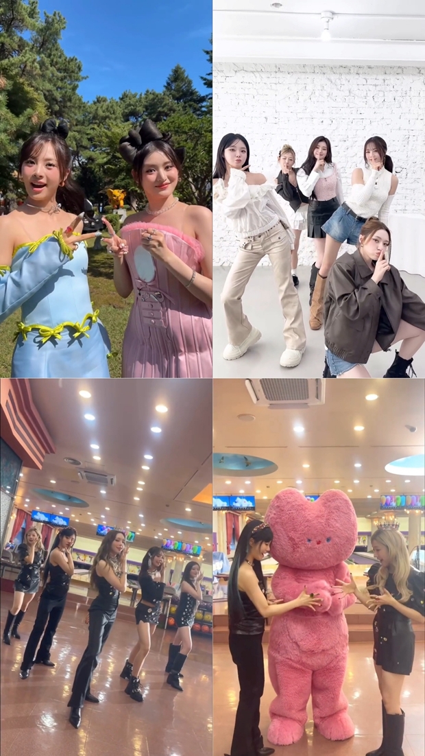 ƼºêÀ̵¥Àϸ® Æ÷Åä