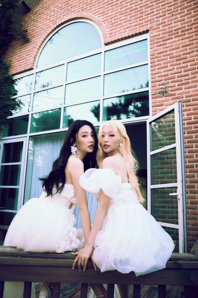 ƼºêÀ̵¥Àϸ® Æ÷Åä