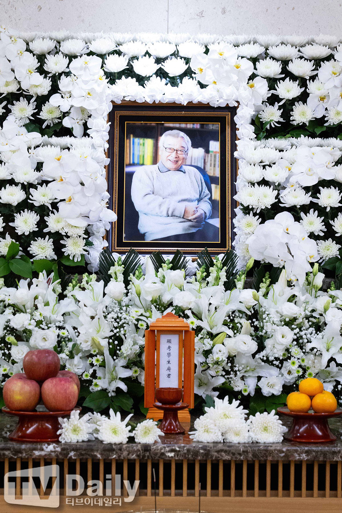 ƼºêÀ̵¥Àϸ® Æ÷Åä