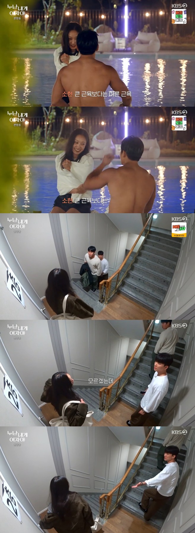 ƼºêÀ̵¥Àϸ® Æ÷Åä