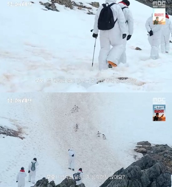 ƼºêÀ̵¥Àϸ® Æ÷Åä