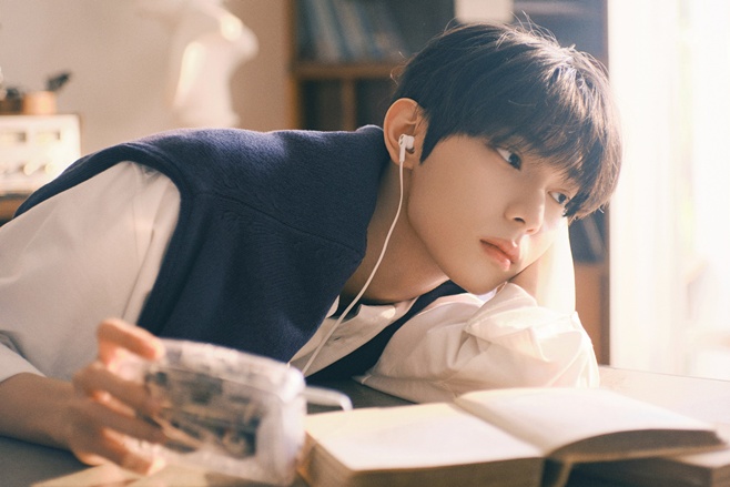 ƼºêÀ̵¥Àϸ® Æ÷Åä