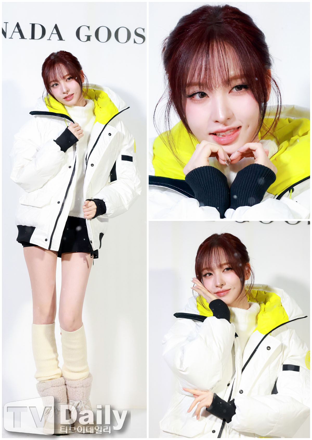 ƼºêÀ̵¥Àϸ® Æ÷Åä