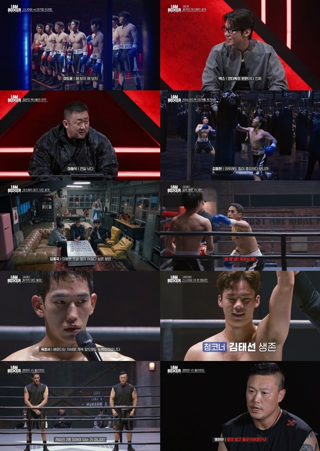 ƼºêÀ̵¥Àϸ® Æ÷Åä